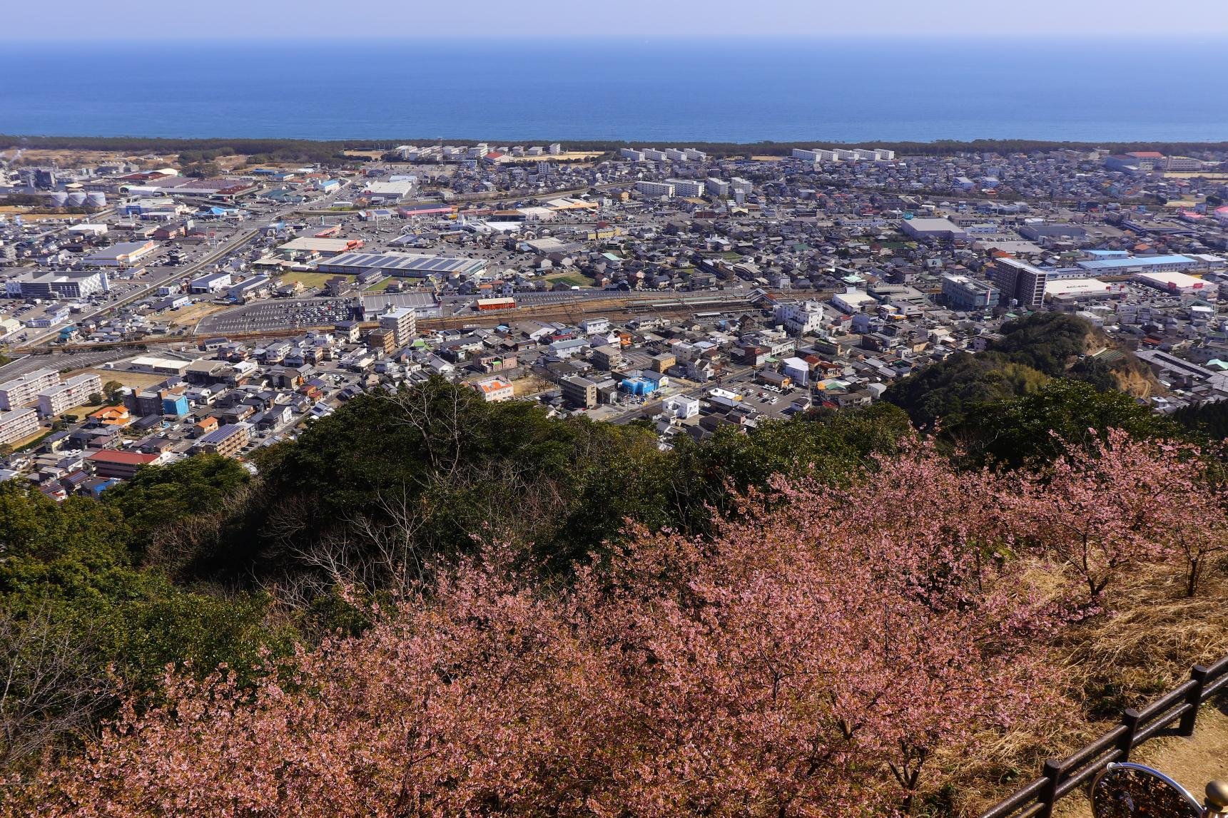 🌸 무라마쓰 공원 (村松公園) 이미지 7
